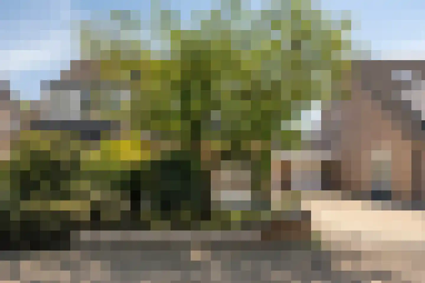 Betuwehof 50 Helmond thumbnail 7