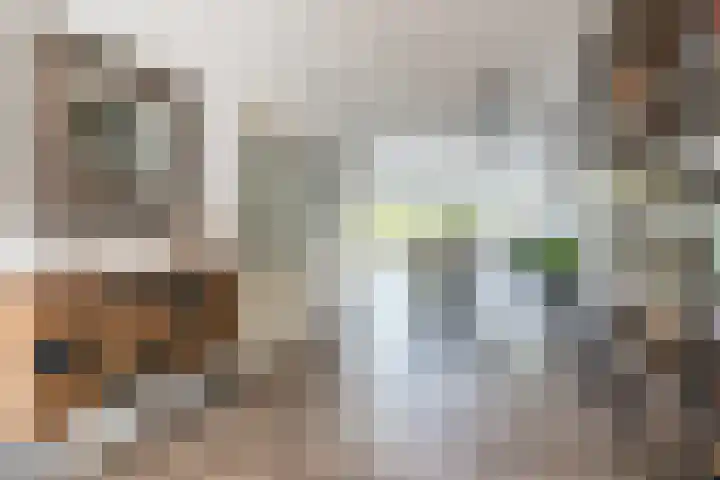 Betuwehof 88 Helmond thumbnail 10
