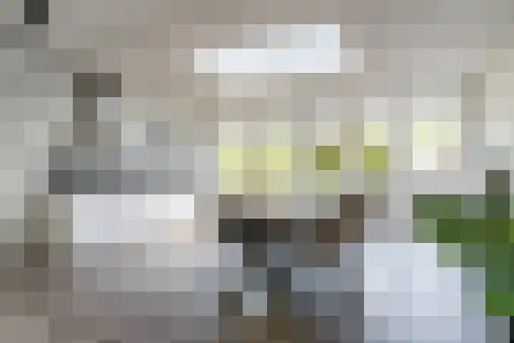 Betuwehof 88 Helmond thumbnail 12