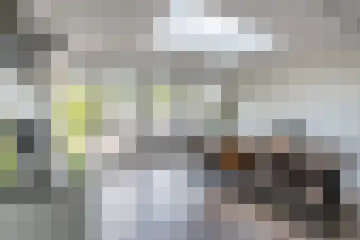 Betuwehof 88 Helmond thumbnail 13