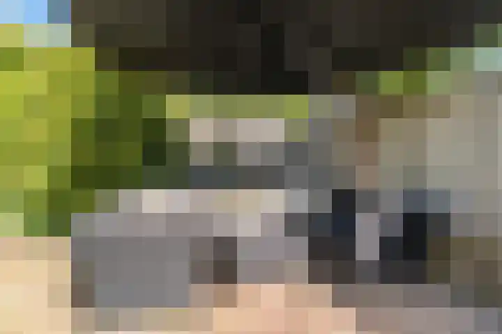 Betuwehof 88 Helmond thumbnail 33
