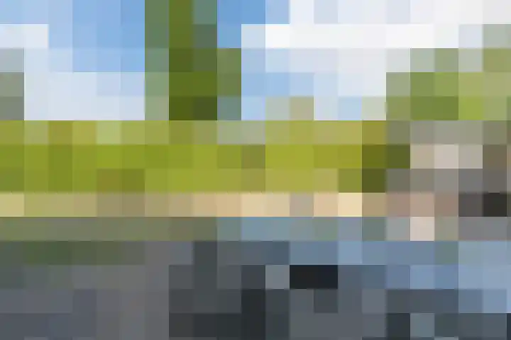 Betuwehof 88 Helmond thumbnail 34