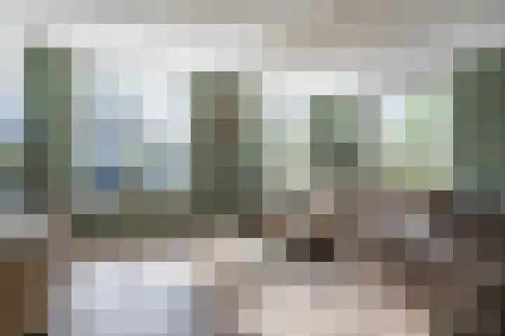 Betuwehof 88 Helmond thumbnail 8