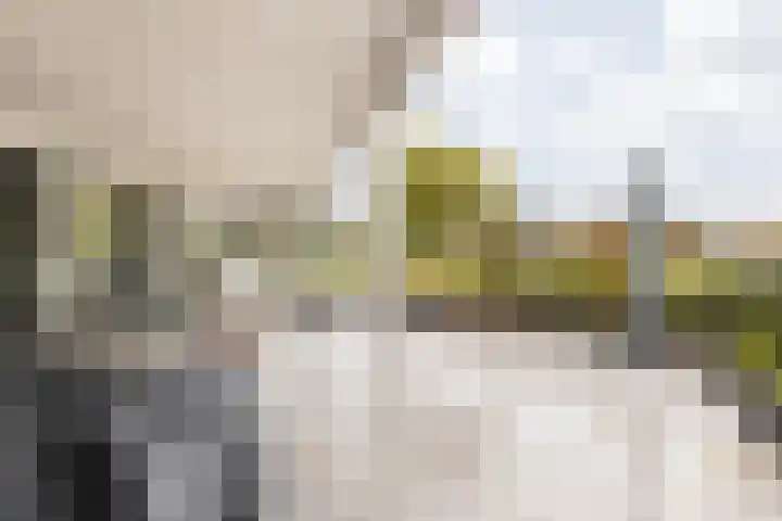 Betuwestraat 2 Sittard thumbnail 35