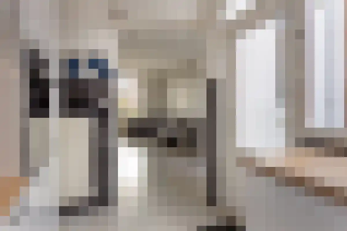 Betuwestraat 3 Tiel thumbnail 13