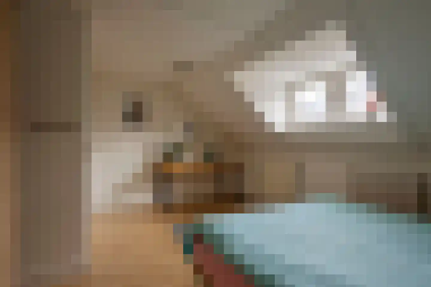 Betuwestraat 49 Tiel thumbnail 14
