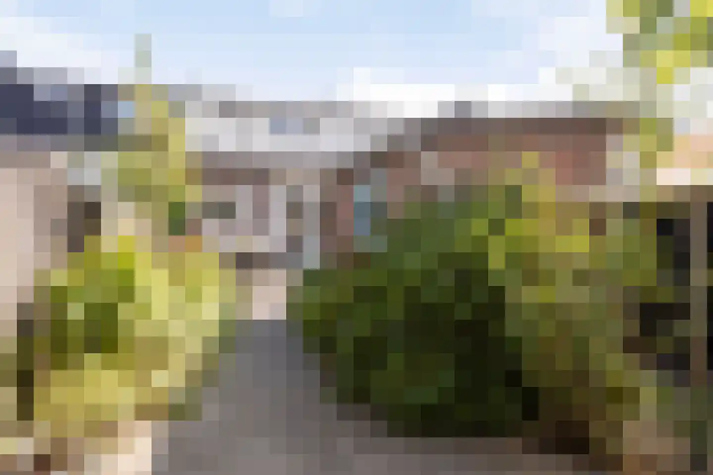 Betuwestraat 49 Tiel thumbnail 19