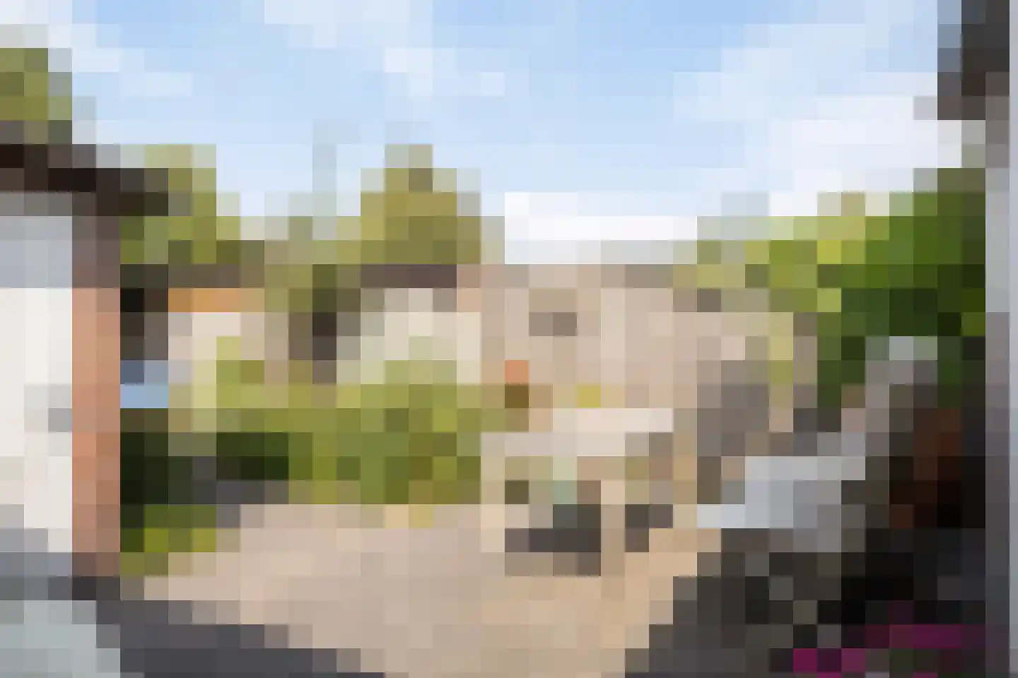 Betuwestraat 49 Tiel thumbnail 20