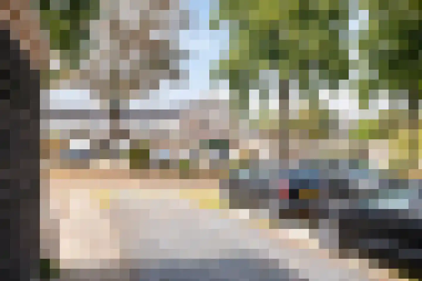 Betuwestraat 49 Tiel thumbnail 24