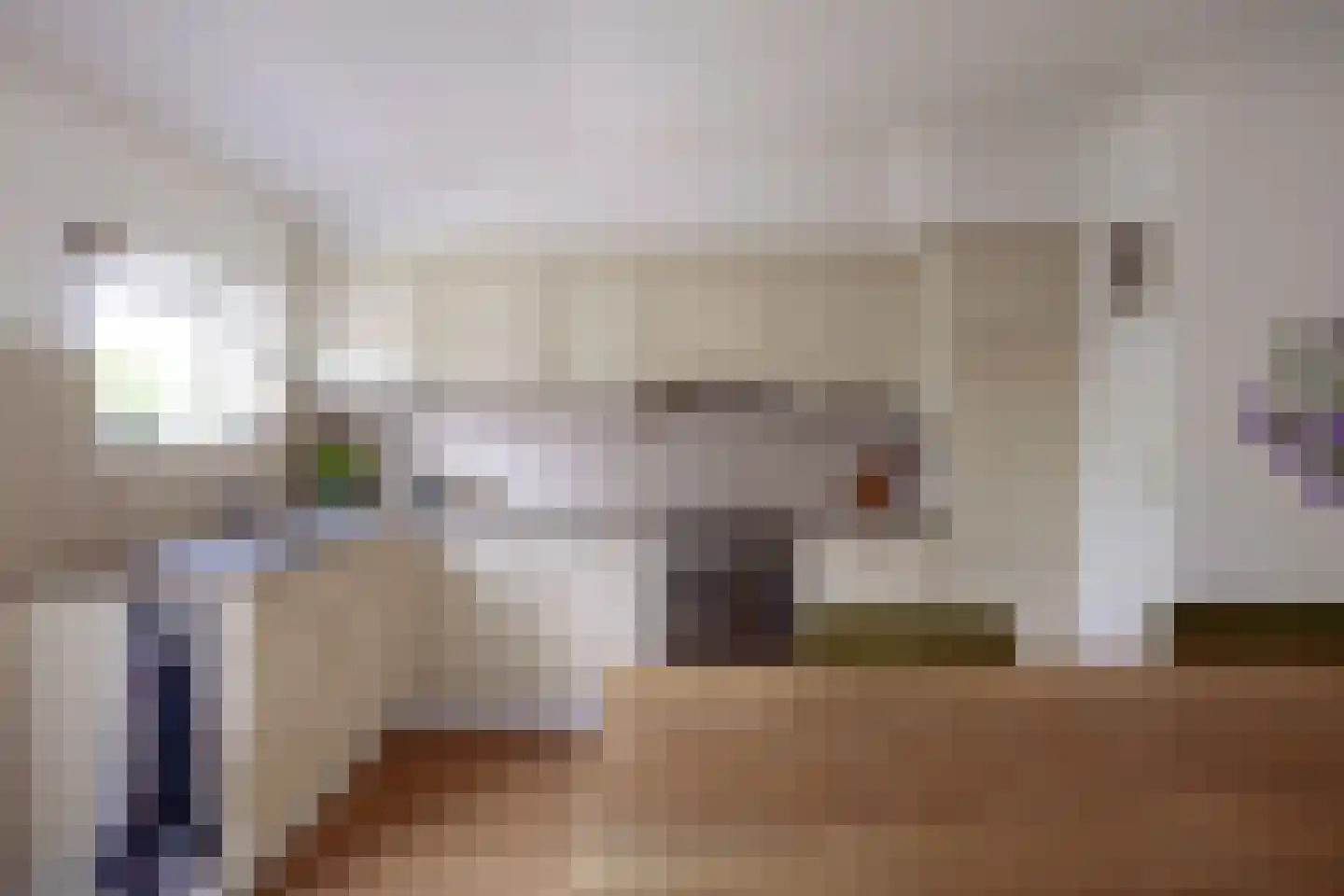 Betuwestraat 49 Tiel thumbnail 8