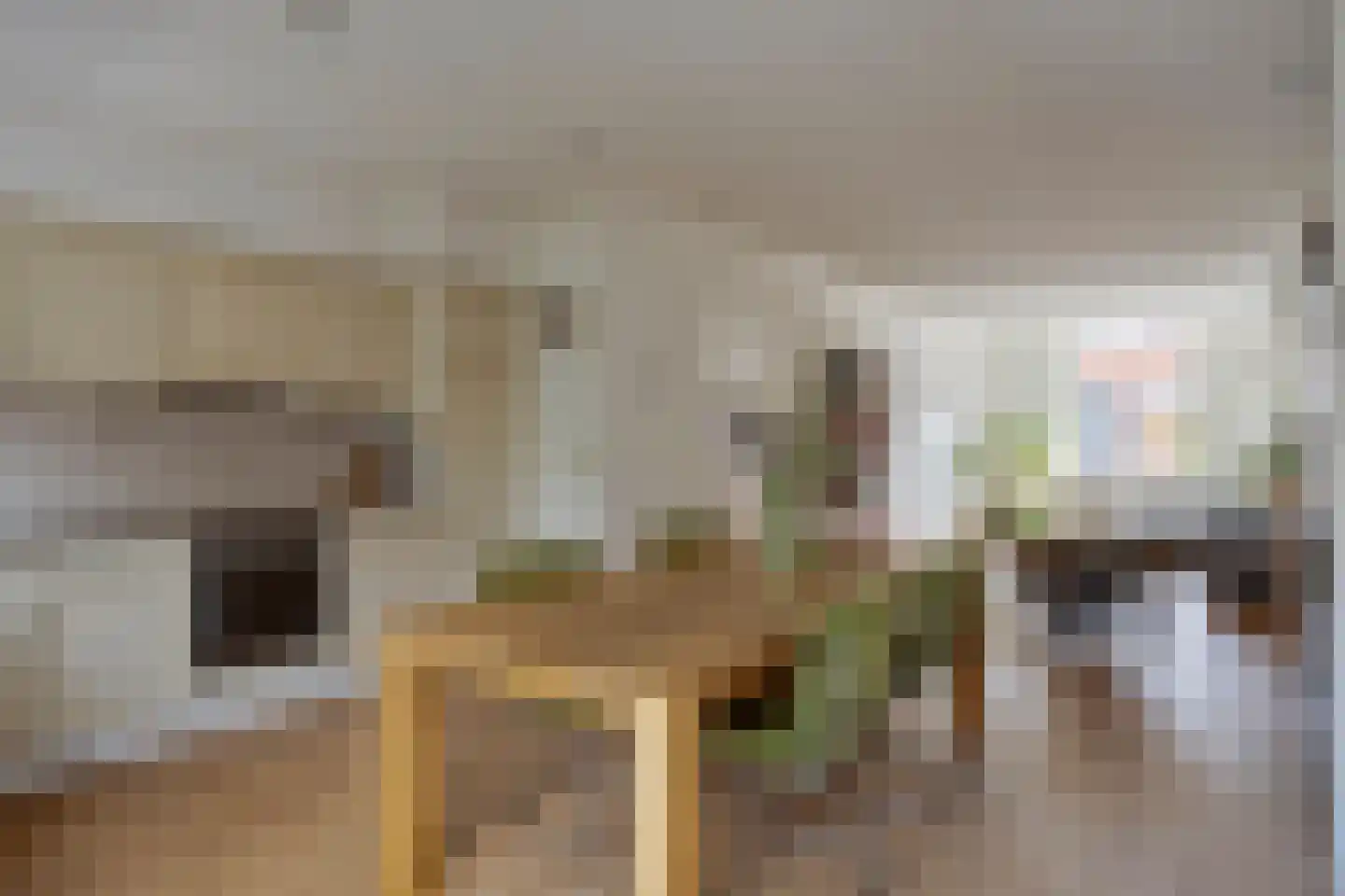 Betuwestraat 49 Tiel thumbnail 9