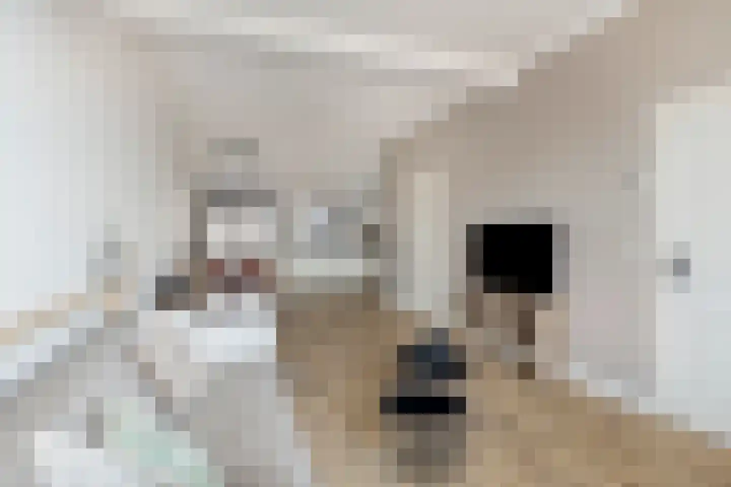 Betuwestraat 5 Tiel thumbnail 5