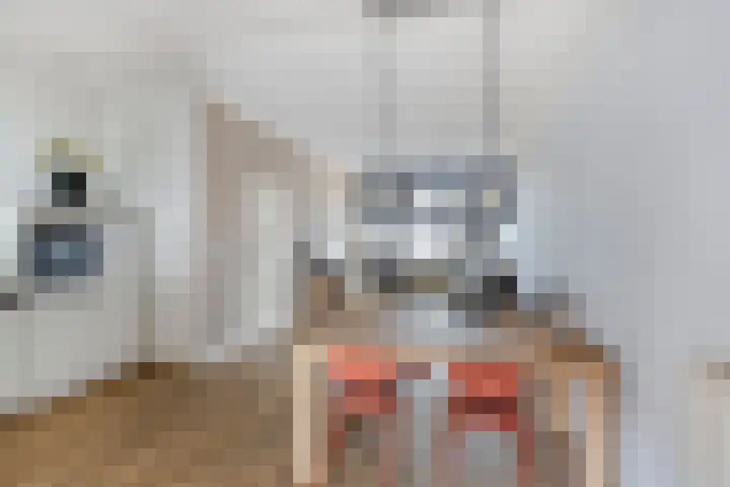 Betuwestraat 5 Tiel thumbnail 8