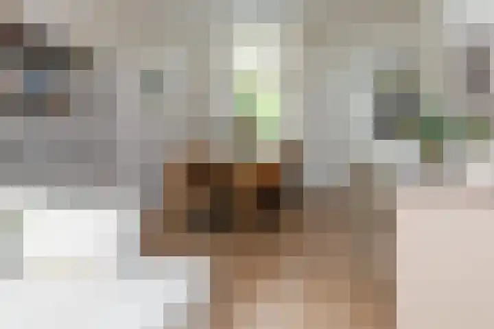 Betuwestraat 51 Tiel thumbnail 10