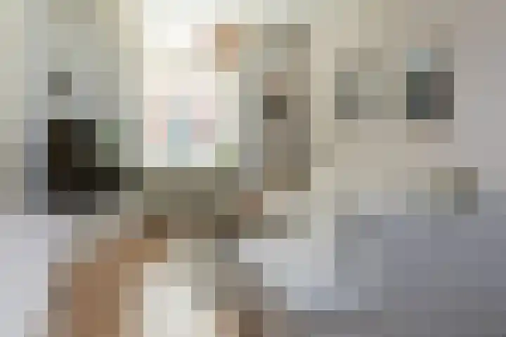 Betuwestraat 51 Tiel thumbnail 11