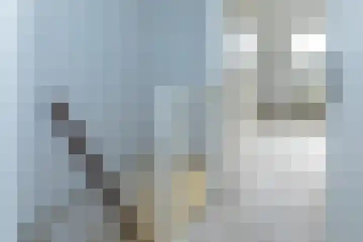 Betuwestraat 51 Tiel thumbnail 18