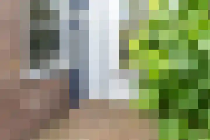 Betuwestraat 51 Tiel thumbnail 24