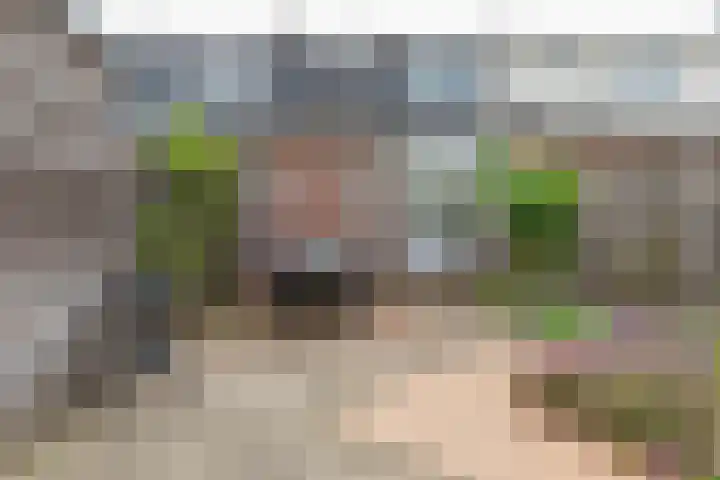 Betuwestraat 51 Tiel thumbnail 25