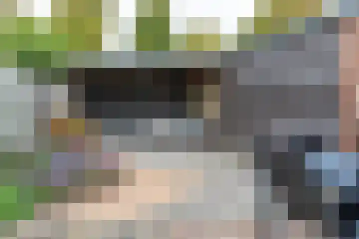 Betuwestraat 51 Tiel thumbnail 28