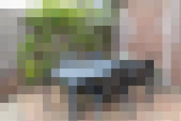 Betuwestraat 51 Tiel thumbnail 30