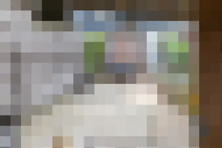 Betuwestraat 51 Tiel thumbnail 33