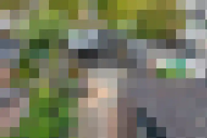 Betuwestraat 51 Tiel thumbnail 37