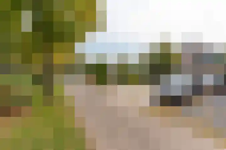 Betuwestraat 51 Tiel thumbnail 38