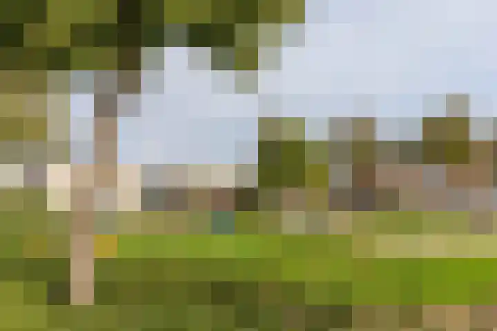 Betuwestraat 51 Tiel thumbnail 39