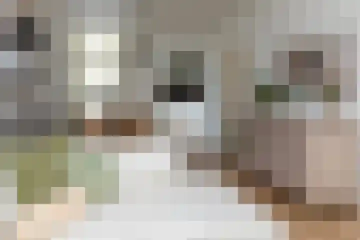 Betuwestraat 51 Tiel thumbnail 44