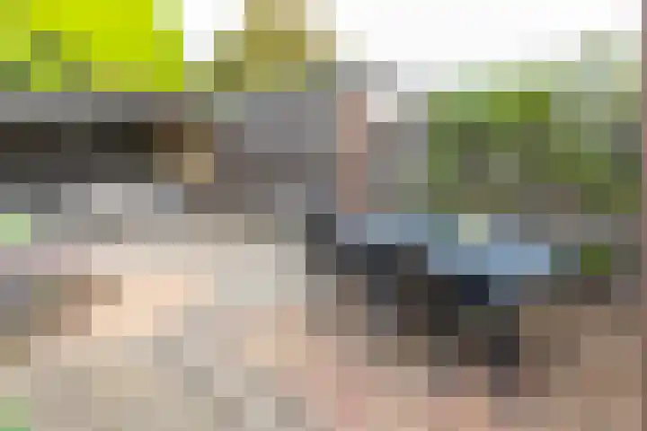Betuwestraat 51 Tiel thumbnail 57
