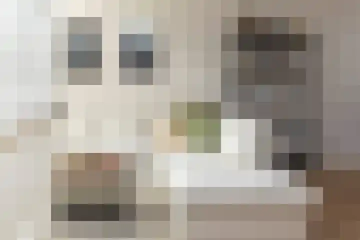 Betuwestraat 51 Tiel thumbnail 8