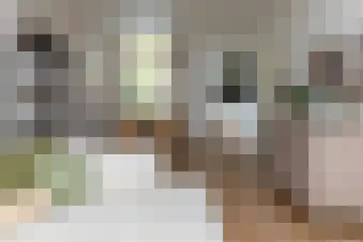 Betuwestraat 51 Tiel thumbnail 9
