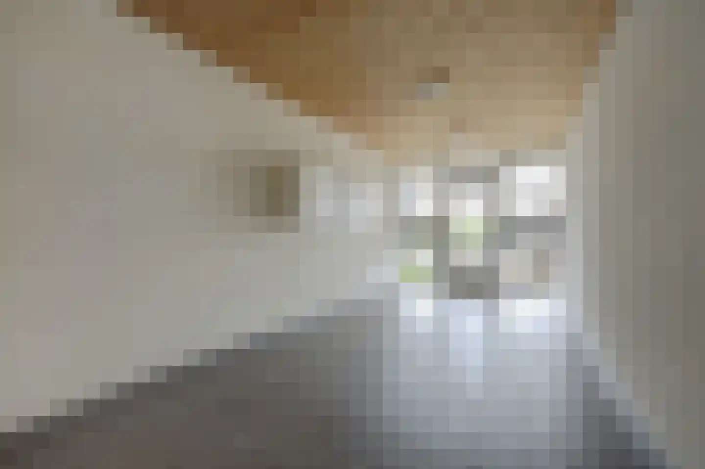 Betuwestraat 6 3 Arnhem thumbnail 9