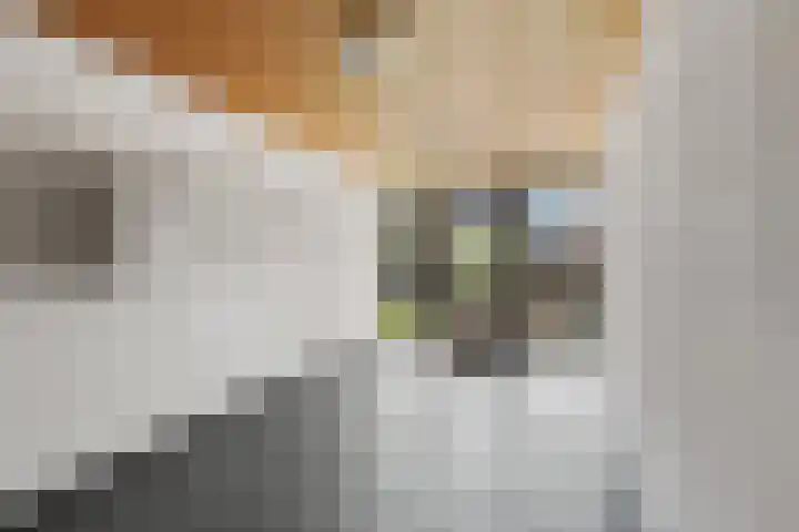 Betuwestraat 6 4 Arnhem thumbnail 4