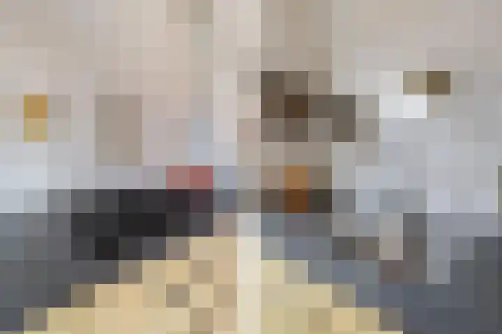 Beuckelaar 15 Monster thumbnail 24