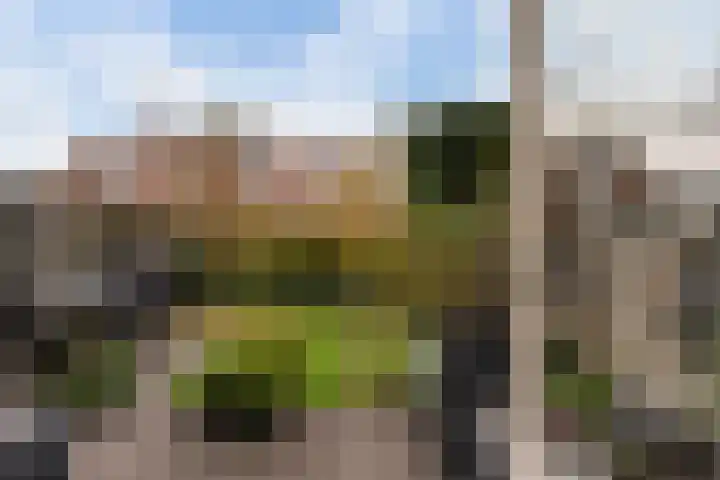 Beuckelaar 15 Monster thumbnail 25