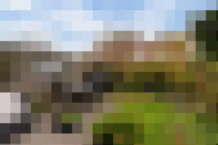 Beuckelaar 15 Monster thumbnail 26
