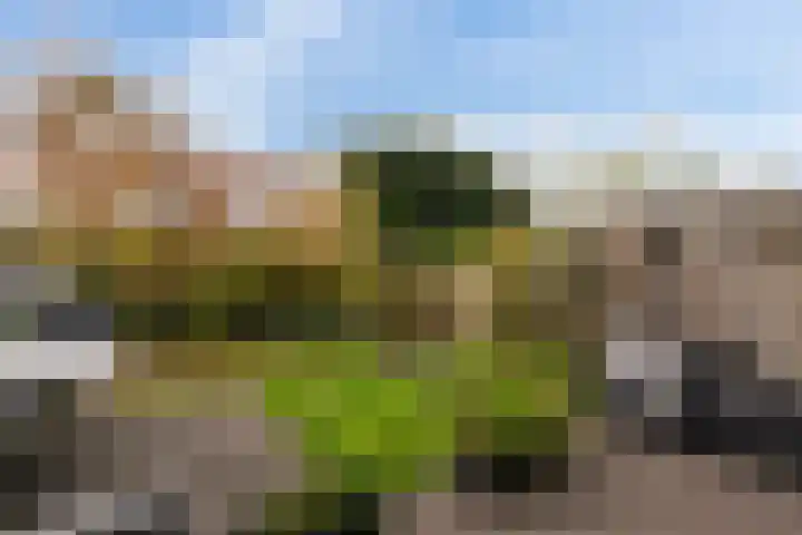 Beuckelaar 15 Monster thumbnail 27