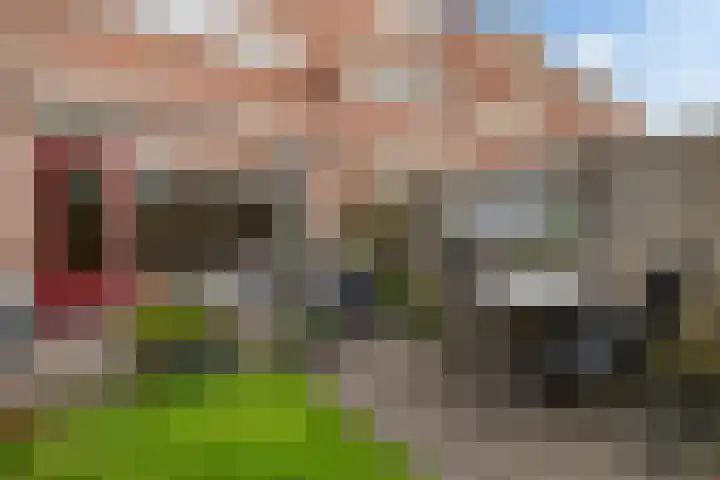 Beuckelaar 15 Monster thumbnail 28