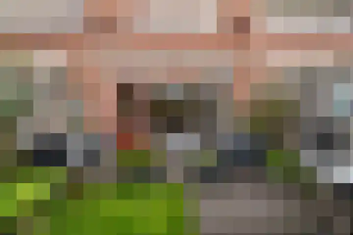Beuckelaar 15 Monster thumbnail 29
