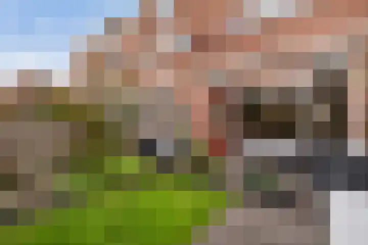 Beuckelaar 15 Monster thumbnail 30