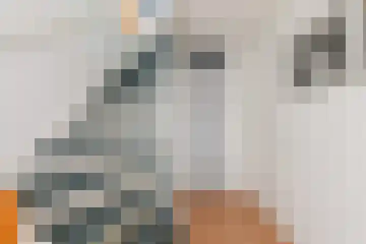 Beuckelaar 15 Monster thumbnail 31