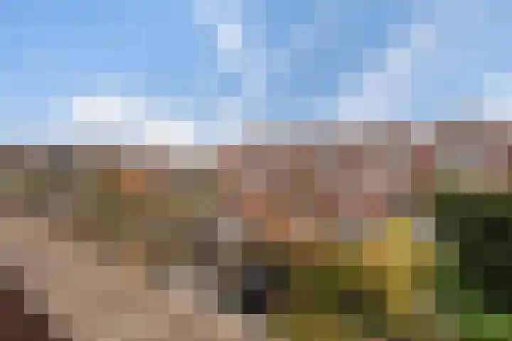 Beuckelaar 15 Monster thumbnail 40