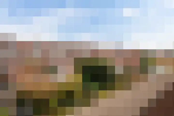 Beuckelaar 15 Monster thumbnail 41