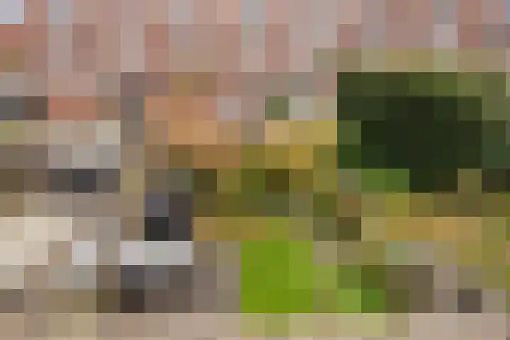 Beuckelaar 15 Monster thumbnail 43