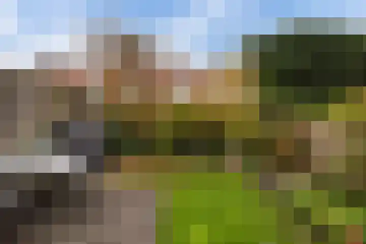 Beuckelaar 15 Monster thumbnail 6