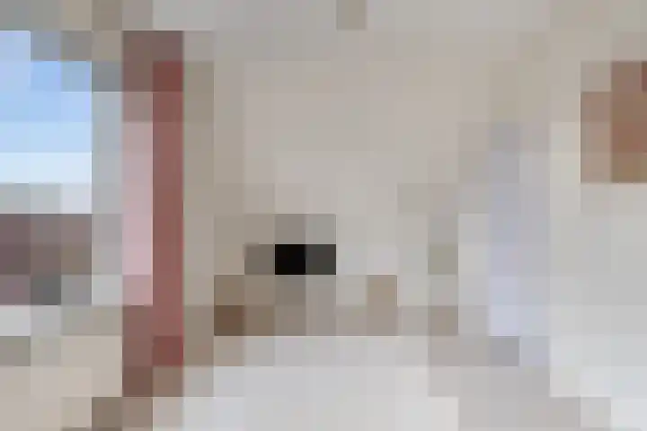 Beuckelaar 15 Monster thumbnail 60