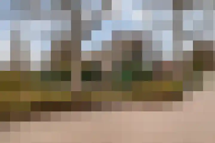 Beuckelaar 15 Monster thumbnail 64