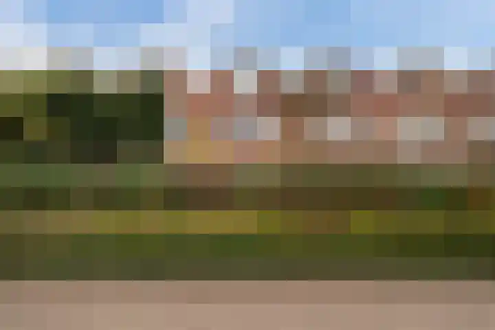 Beuckelaar 15 Monster thumbnail 8