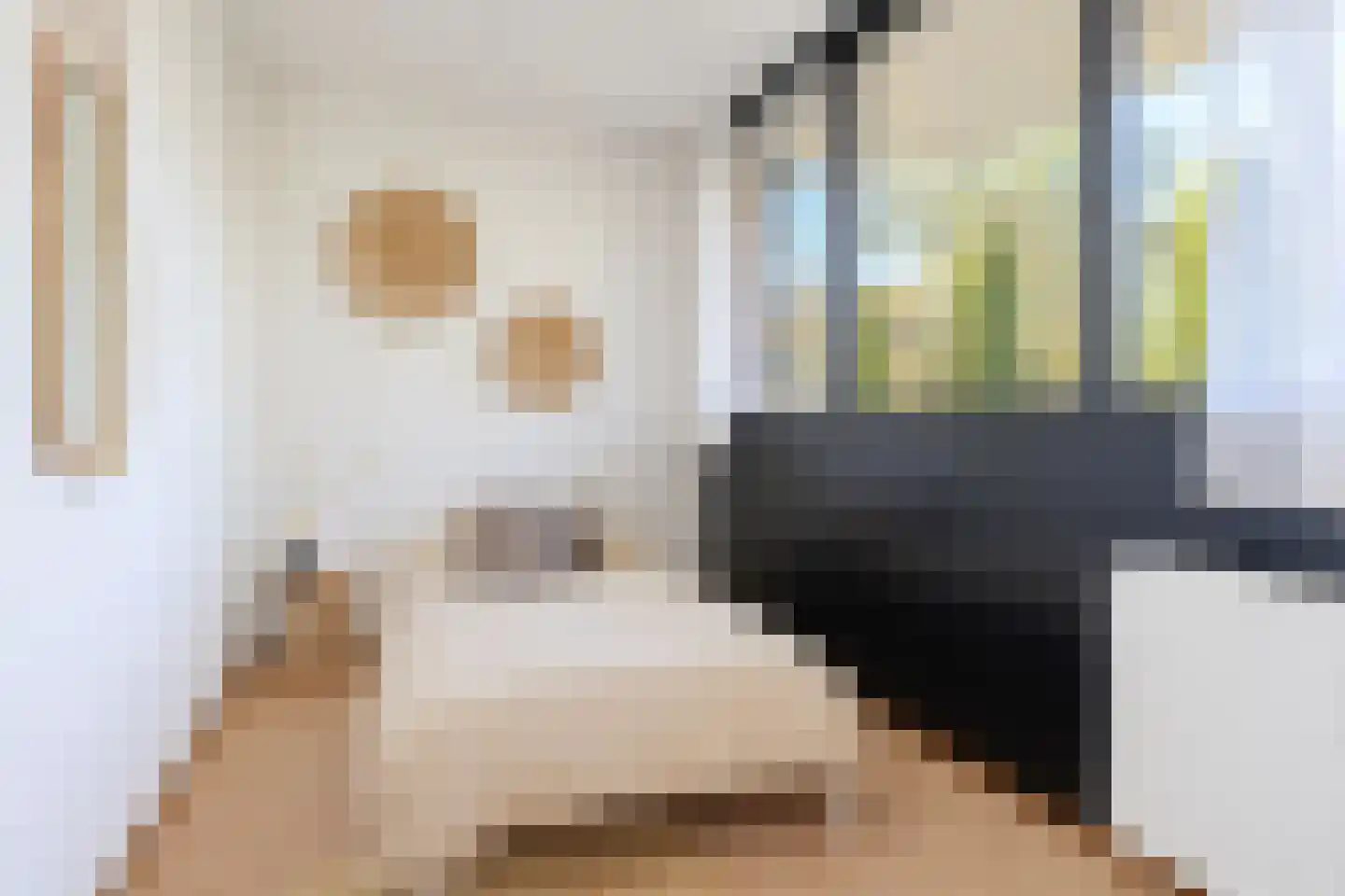 Beuckemaborg 16 Groningen thumbnail 27